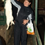 Кролики