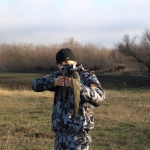 Стрельбы